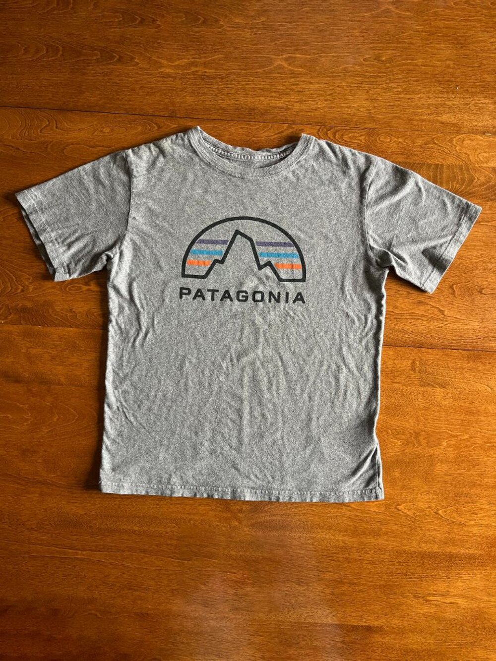 Patagonia gray organic cotton T-shirt L 12